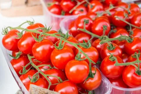 Cherry tomato Stock Photos