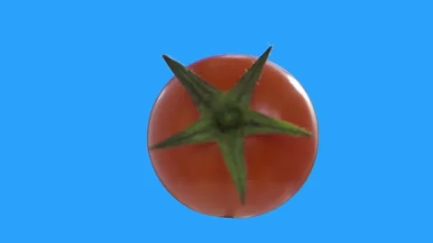 Cherry tomato twisting and spinning around on blue background, isolate, chromake Stock Footage 267596799