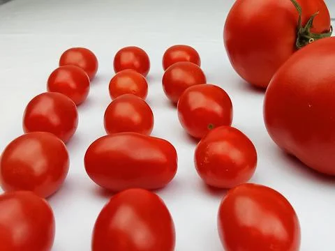 Cherry tomatoes arranged in rows on white background Stock Photos