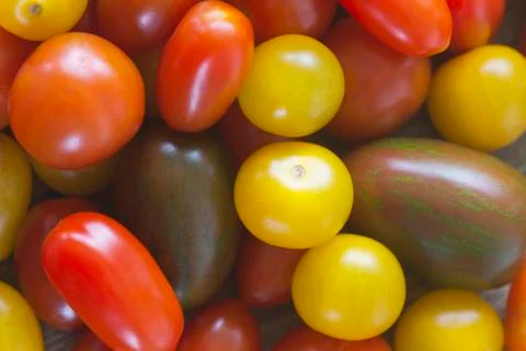Cherry tomatoes background Stock Photos