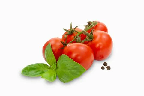 Cherry tomatoes with basil isolated on a white background. Stock Photos