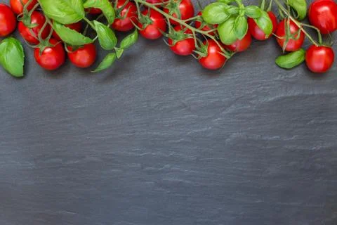 Cherry tomatoes with basil leaves on a dark slate background, horizontal, top 스톡 사진