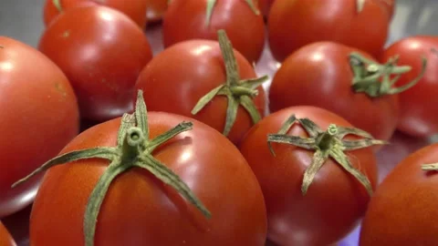 Cherry tomatoes with basil on a steel moving table close-up. Stock Footage 138977043