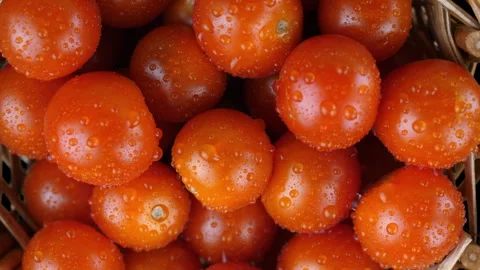 Cherry tomatoes in a basket Video stock 242234125