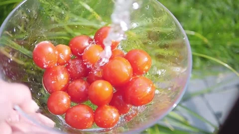 Cherry tomatoes being rinsed under a garden tap with splashing water in a b.. Stock Footage 286816658