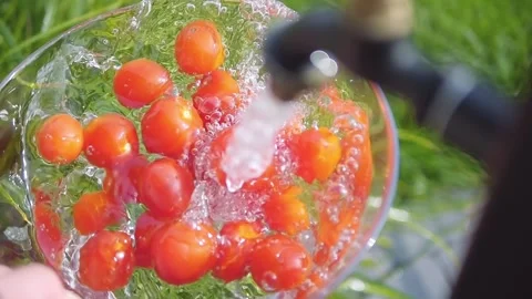 Cherry tomatoes being rinsed under a garden tap with splashing water in a b.. Stock Footage 286818293