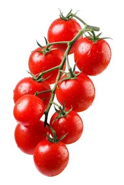 Cherry tomatoes on a branch close-up on a white background. Isolated Stock Photos