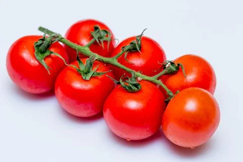 Cherry tomatoes on branch Stock Photos