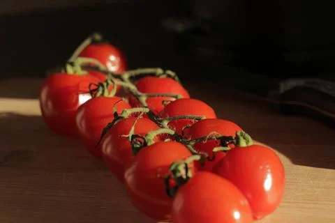 Cherry tomatoes on a branch Stock Photos