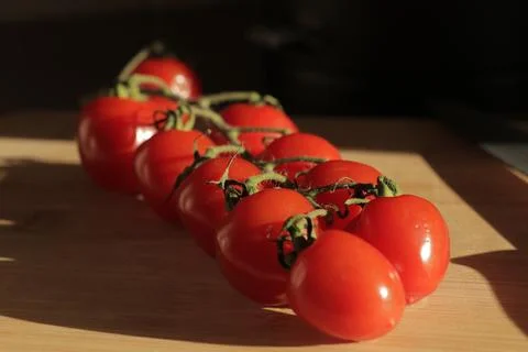 Cherry tomatoes on a branch Stock Photos