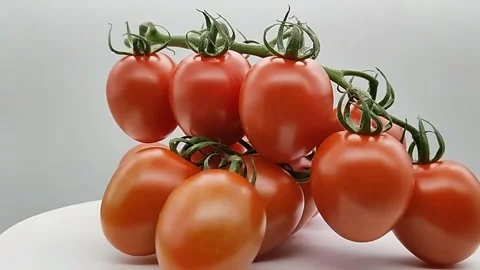 Cherry tomatoes on a branch on a plate. Close-up, rotation. Stockbeeldmateriaal 167460886