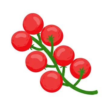 Cherry tomatoes on a branch vector illustration. Red tomato cherry in cartoon Stock Illustration