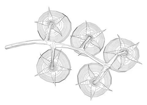Cherry tomatoes branch vector line art illustration. Contour drawing art Stockillustratie