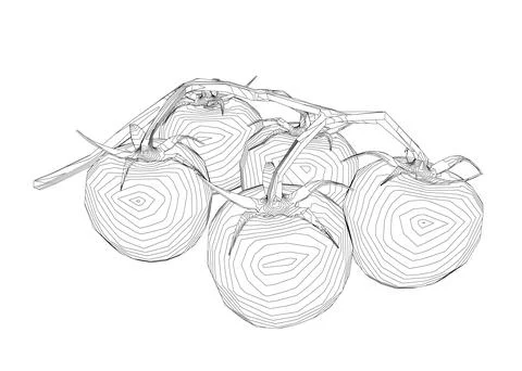 Cherry tomatoes branch vector line art illustration. Contour drawing art Stockillustratie