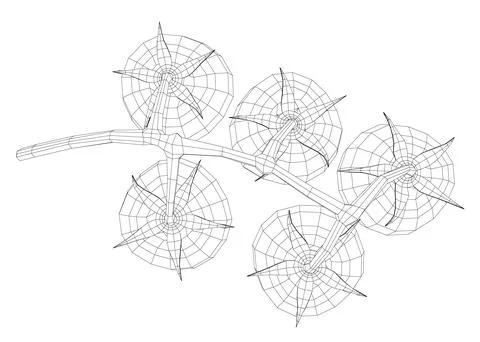 Cherry tomatoes branch vector line art illustration. Wireframe drawing art Stock Illustration