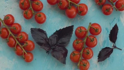 Cherry tomatoes on a branches and basil leaves Video stock 136942031