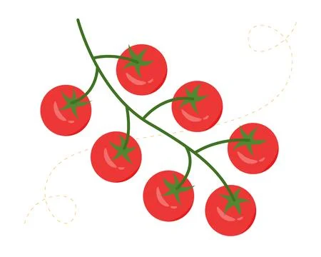 Cherry tomatoes. Bright red cherry tomatoes on a green branch Stock Illustration