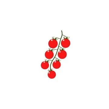 Cherry tomatoes. Cherry tomatoes on branch. Stock Illustration