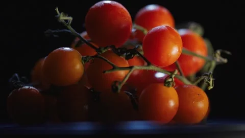 Cherry Tomatoes close up Stock Footage 251278540
