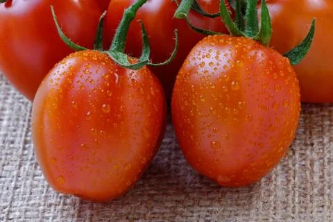 Cherry tomatoes - close up Stock Photos
