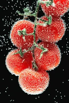 Cherry tomatoes covered by bubbles on the black background Stock Photos