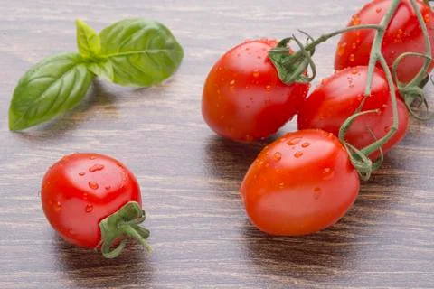 Cherry tomatoes on a dark table. A bunch in drops of water. Basil leaf. Stock Photos