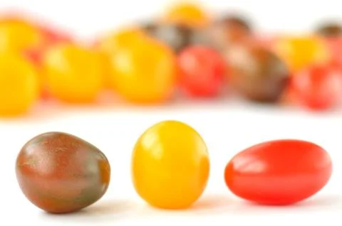 Cherry tomatoes of different colors Stock Photos
