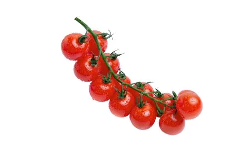 Cherry tomatoes with drops on branch Foto stock