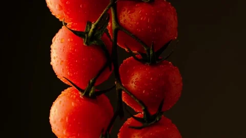 Cherry tomatoes in drops water dark background. Stock Footage 210538103
