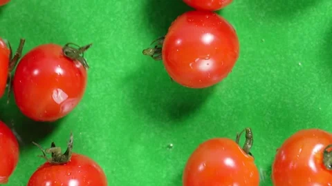 Cherry tomatoes falling on a green background. Stock Footage 309098060