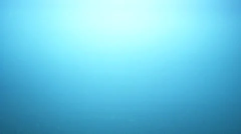 Cherry tomatoes falling into water Stock-Footage 8572556