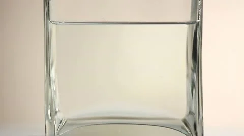 Cherry tomatoes Stock Footage 20469996