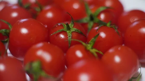 Cherry Tomatoes Stock Footage 102825142