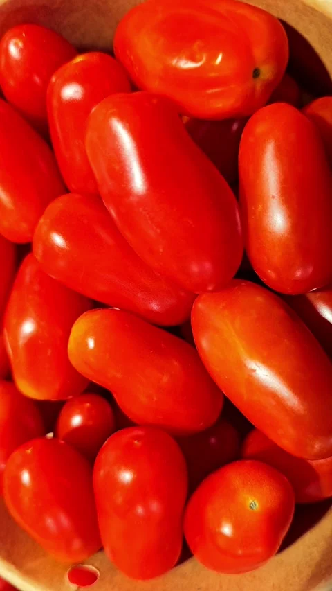 Cherry tomatoes Stock-Footage 314796113