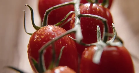 Cherry tomatoes Stock Footage 318370893