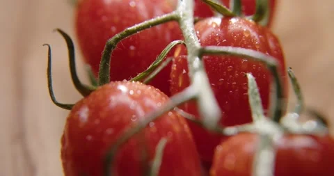 Cherry tomatoes Stock Footage 318370895