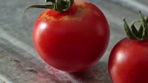 Cherry tomatoes Stock Footage 318715644