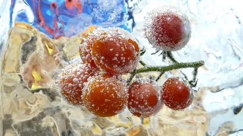 Cherry tomatoes frozen in ice cube Stock Footage 96165210