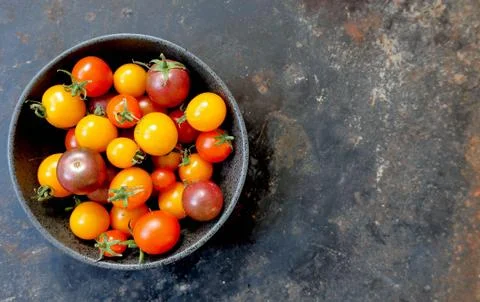 Cherry tomatoes in gray dish Stock-Fotos