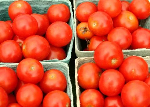 Cherry tomatoes in green baskets Stock Photos