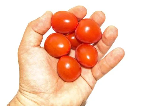 Cherry tomatoes in the hand Stockfoto's