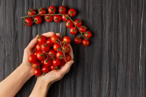Cherry tomatoes in hands on a dark background with space for text top view. Stock Photos