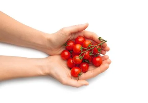 Cherry tomatoes in hands on a white background, top view. Stock Photos