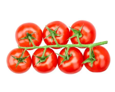 Cherry tomatoes isolated Stock Photos