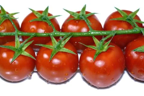 Cherry tomatoes isolated Stock Photos