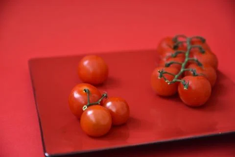 Cherry tomatoes isolated on red background. Stock Photos