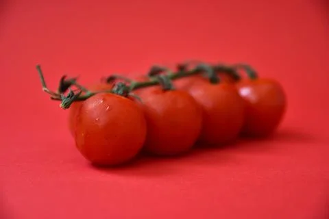 Cherry tomatoes isolated on red background. Stock Photos