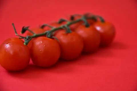Cherry tomatoes isolated on red background. Stock Photos