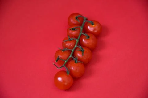Cherry tomatoes isolated on red background. Stock Photos