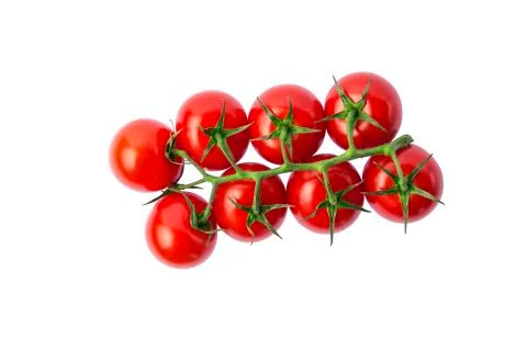 Cherry tomatoes, isolated, white background, top view. Studio Photo, copy space 스톡 사진